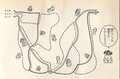 Chocolate Island maze solution (the solution is printed on the back of the maze's page: by using light, the tracks bleeds through, revealing the correct paths to take) Page 126