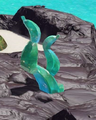 Small emerald root