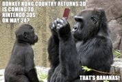 A captioned photograph posted to Nintendo's Facebook in March 2013 where a young gorilla asks an older gorilla about Donkey Kong Country Returns 3D's release