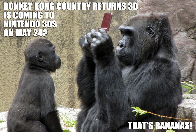 File:DKCR3D Facebook gorillas photograph.jpg