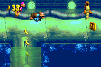 Dingy Drain-Pipe DKC3 GBA shot 2.png