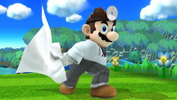 Dr. Mario's Super Sheet in Super Smash Bros. for Wii U.