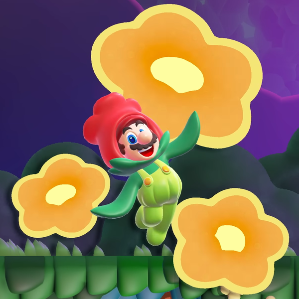 File:SMBW NS2E Flower Mario.png