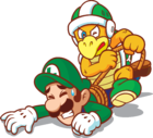 Luigi and a Hammer Bro.