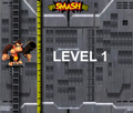 The first level