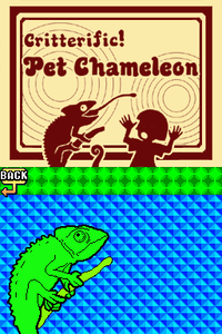 Screenshot of Pet Chameleon