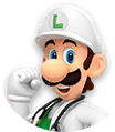 Dr. Mario World (Fire Luigi)