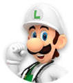 Dr. Fire Luigi