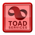 A Mario Kart Tour Toad Services "hot shot" badge