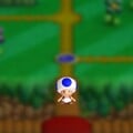 Mini Blue Toad in New Super Mario Bros. U Deluxe