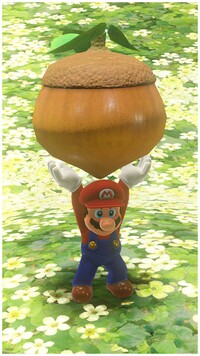 SMO Mario Big Seed.jpg