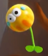 A Bounseed from Yoshi and the Mysterious Book.