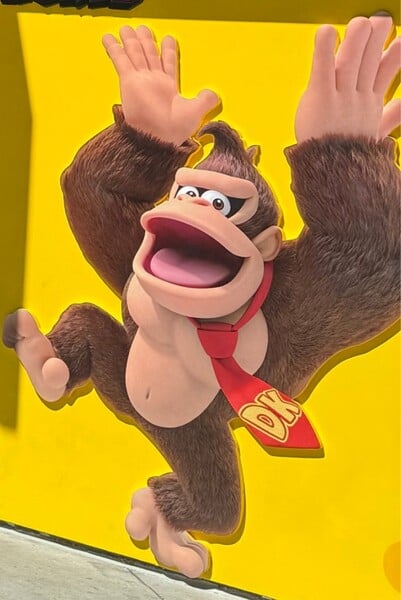 File:DK Happy art SNW.jpg