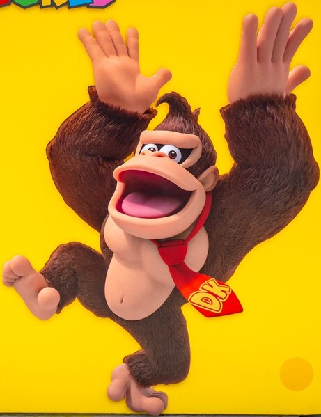 File:DK Happy art SNW.jpg