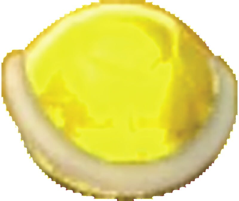 File:Gold Shell SM3DW Prima.jpg - Super Mario Wiki, the Mario encyclopedia