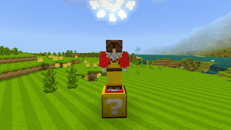 File:Minecraft Mario Mash-Up Bee Suit.jpg