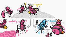 Drawing of a bee based on Honey Queen