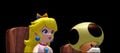 SMS Peach and Toadsworth before object.jpg