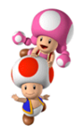 List of Toadette profiles and statistics - Super Mario Wiki, the Mario ...