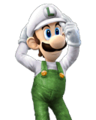Fire Luigi, Super Smash Bros. Brawl