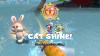 Collecting a Cat Shine in Bowser's Fury