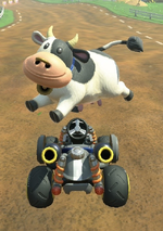 Cow performing a trick.