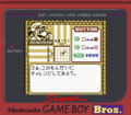 Mario's Picross SGB Red border JP.png