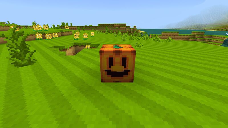 File:Minecraft Mario Mash-Up Carved Pumkin.jpg