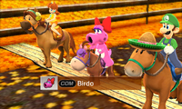Birdo riding on a horse in Advanced difficulty from Mario Sports Superstars