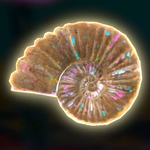 A fossil in Donkey Kong Bananza