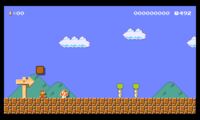 Unused Mystery Mushroom obtained through a glitch in Super Mario Maker for Nintendo 3DS