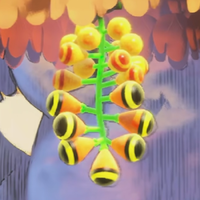 A cluster of Bunchabees