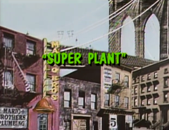 Super Plant (episode) - Super Mario Wiki, the Mario encyclopedia