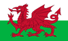 The Welsh flag.