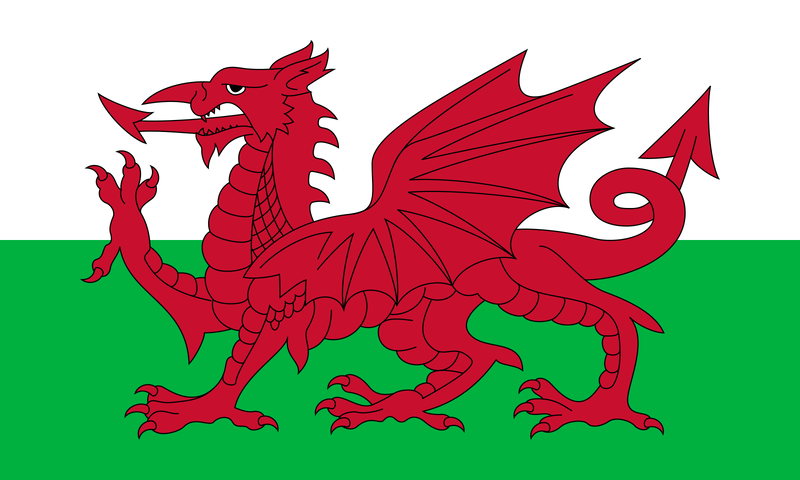 File:Welsh Flag.png