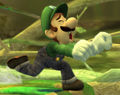 My Favorite Character Luigi
