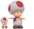 Toad