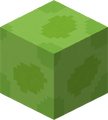 Lime Concrete