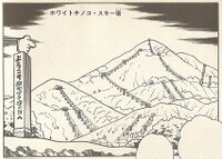 White Mushroom SMW6.jpg