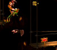 The G in Winky's Walkway from Donkey Kong Country