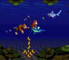 Coral Capers The fourth level of Kongo Jungle, Coral Capers is the first underwater level, and is set in a coral reef. There are coral walls with items such as bananas. Every underwater enemy debuts in this level except Squidge. The Kongs can free Enguarde from an Animal Crate to help defeat some aquatic foes.