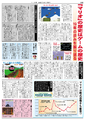 A newspaper called Mario Shinbun, made by editorial department of Famitsū in order to support the game's release in Japan
