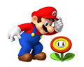 Mario and a Fire Flower