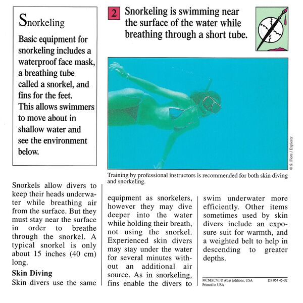 File:Snorkeling quiz card back.jpg