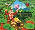 Artwork used for a puzzle based on Donkey Kong Land