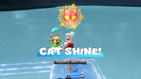 Collecting a Cat Shine in Bowser's Fury