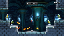 Seriously! Fire, Bro! from New Super Mario Bros. U