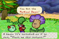 Mario and Lady Bow getting a Magical Bean from Petunia in Paper Mario