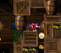 Going through a false wall at the start leads to two Banana Coins and a Banana Bunch.
