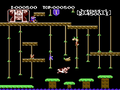 Donkey Kong Jr.